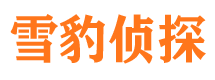 澧县市调查公司